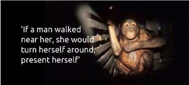 欧美日韩鞭打性奴视频,黑暗面的残酷真相