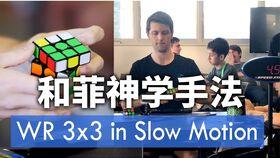 日韩p 视频一区,揭秘热门内容背后的文化现象