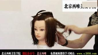 日韩耳毛造型视频大全在线观看,视频大全在线观看