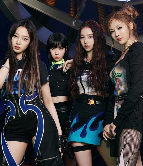 日韩女团竖屏视频网站免费,竖屏视频网站免费畅享精彩瞬间