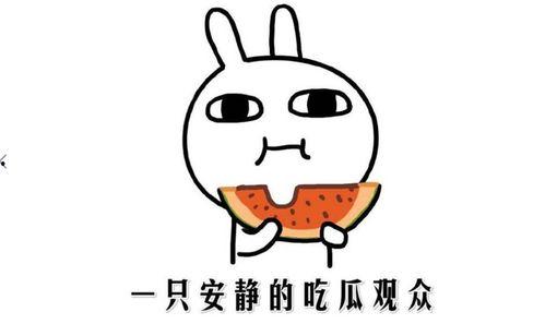 黑料吃瓜网页视频,网页视频背后的真相大揭秘