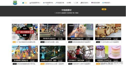 抖音日韩造型视频素材下载
